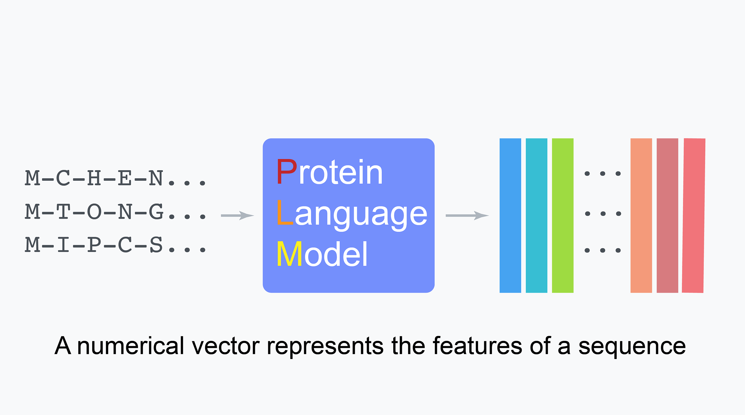 Protein sequence embedding