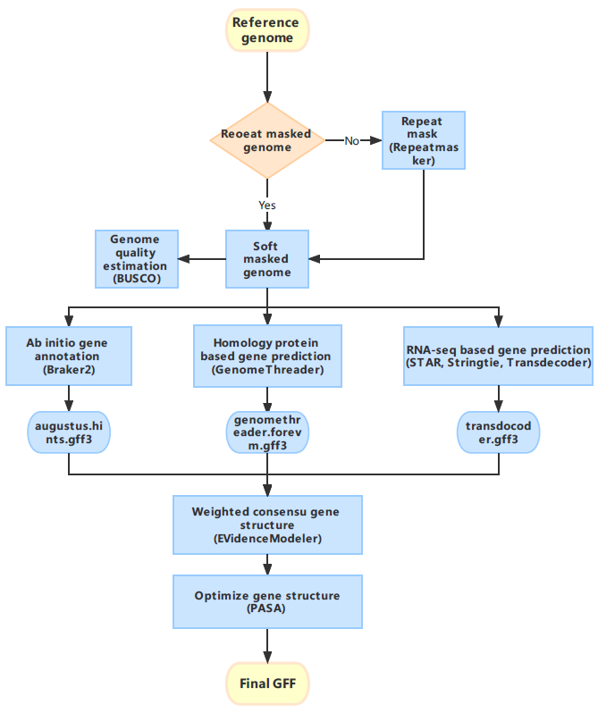 The basic workflow shows the process of gene annotation.