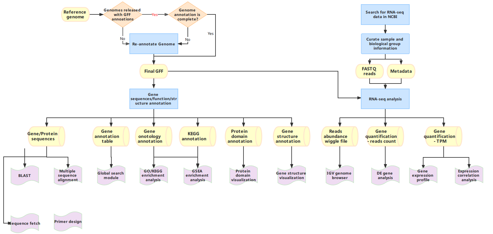 The basic structure of IMP construction.