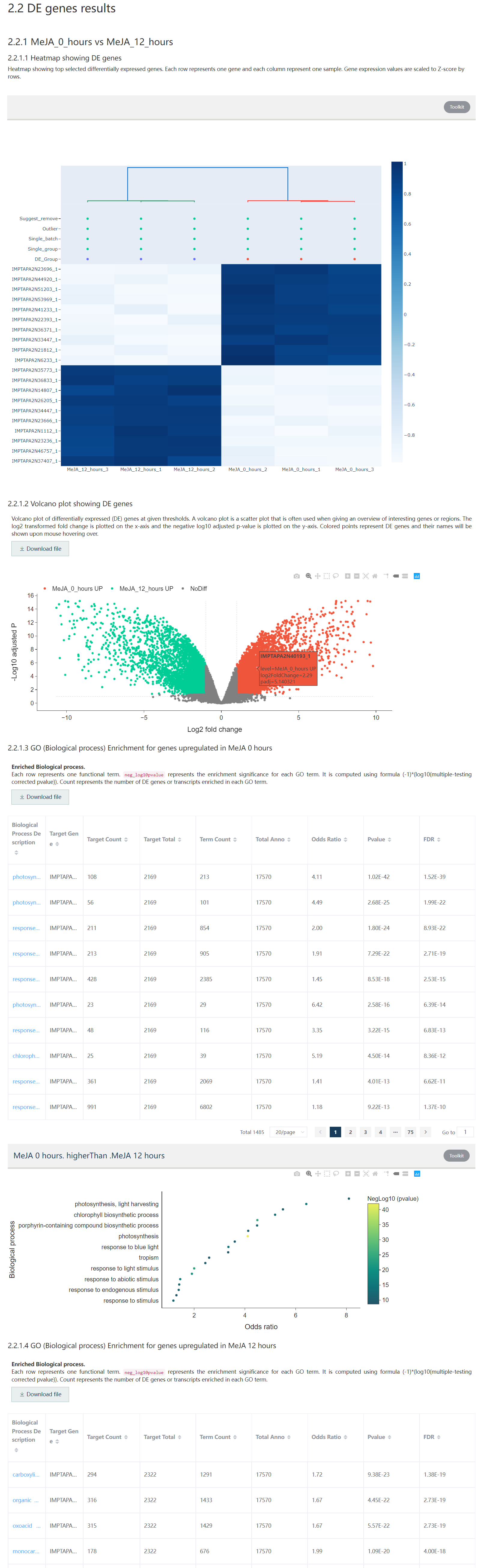 The second part of the DE gene result report includes DE gene heatmap, volcano plot, and functional enrichment result.
