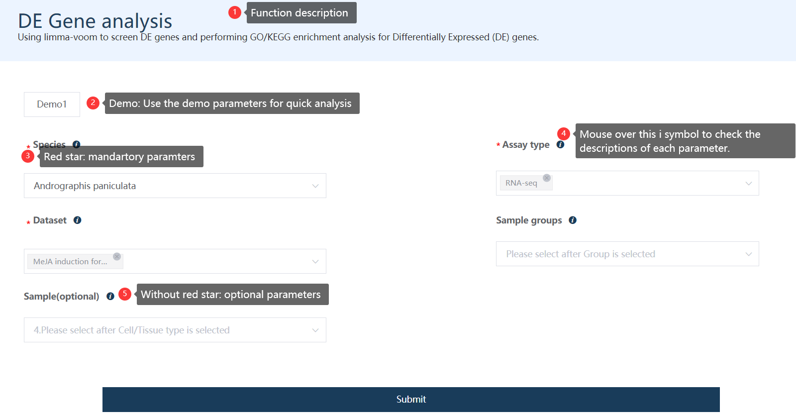 A screenshot of the form structure.