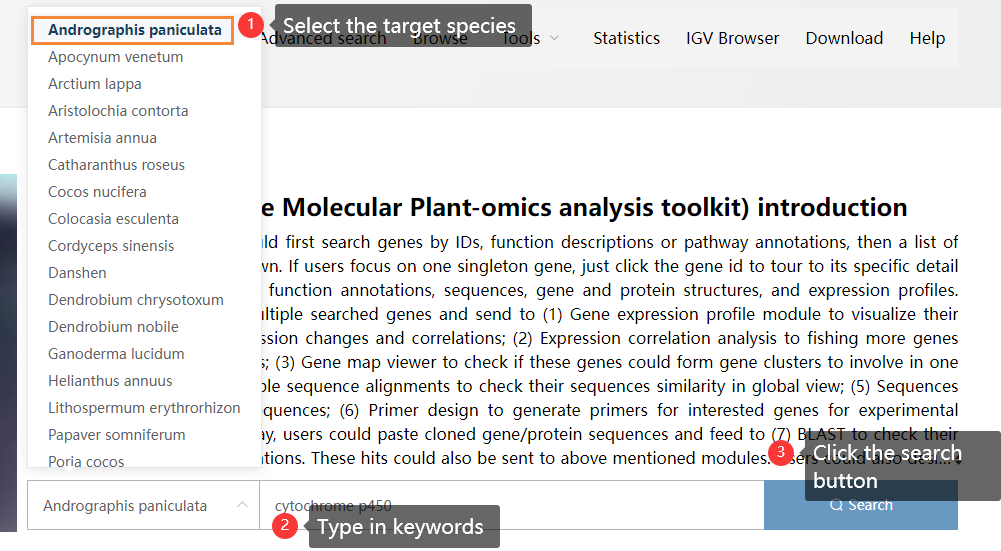 Searching for cytochrome p450 genes in Andrographis paniculata using the global search function.