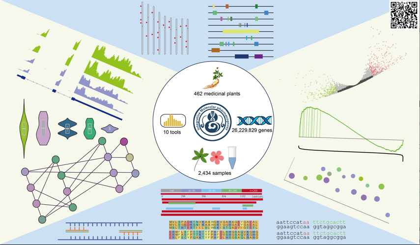 IMP: Bridging the Gap for Medicinal Plant Genomics