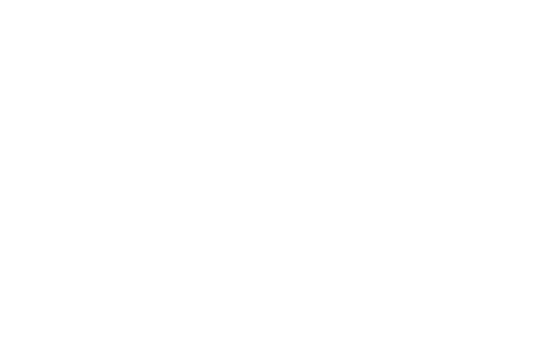 ImageGP | Histogram | 直方图 