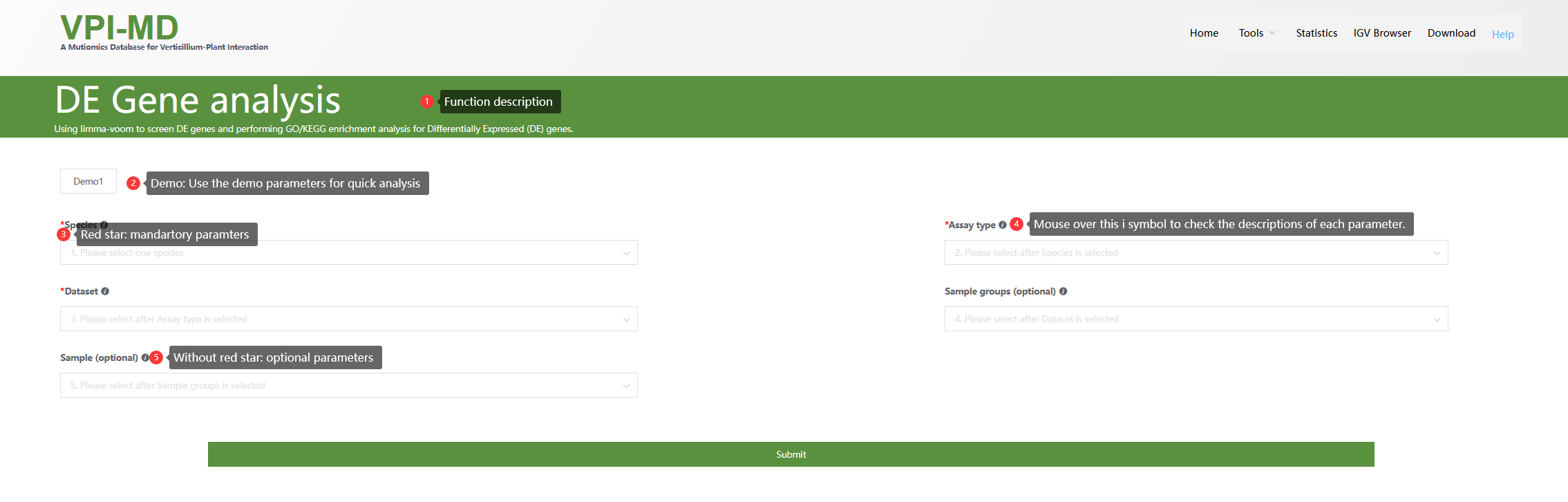 A screenshot of the form structure.