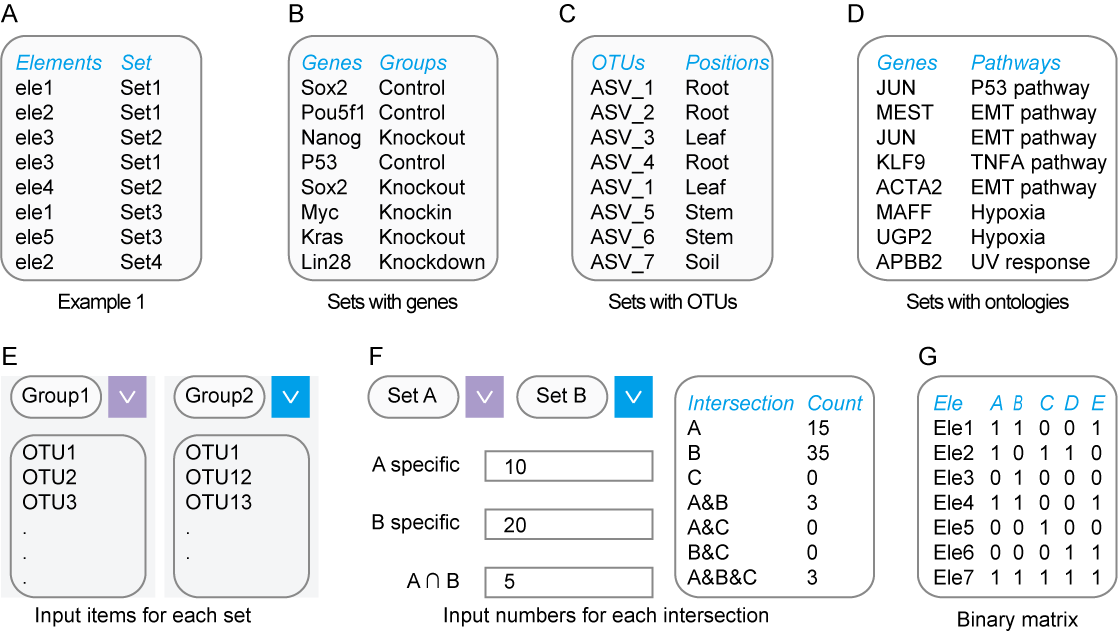 Illustration of input data formats. A. The general example of two-column data matrix. B, C, and D represent specified examples for gene sets, OTUs sets and pathway sets respectively. E. Pasting elements for each set separately. F. Typing counts for each intersection. G. Binary matrix format.
